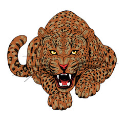 Leopard face tattoo ,Vector illustration, print