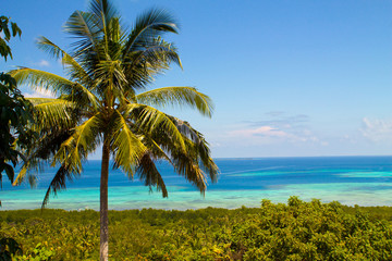 Fototapeta premium exotic seascape of the coast of Karimungiawa island