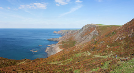 Fototapeta na wymiar Cliffs and coastline around Crackington Haven in Cornwall, England, UK