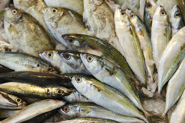 Fish market 