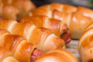 Sausage rolls, cooking food at home. Golden color crust.