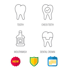 Tooth, dental crown and mouthwash icons. Check teeth linear sign. Shield protection, calendar and new tag web icons. Vector