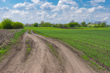 Fototapeta na wymiar Spring landscape with an earth road near agricultural field in Dmukhailivka village, Dnipropetrovsk oblast, Ukraine