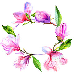 Wildflower magnolia flower frame in a watercolor style isolated.