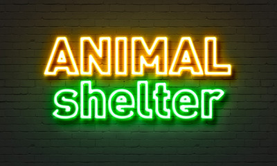 Animal shelter neon sign on brick wall background.