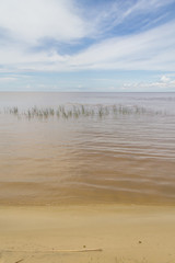 Fototapeta na wymiar Lagoa dos Patos lake and vegetation