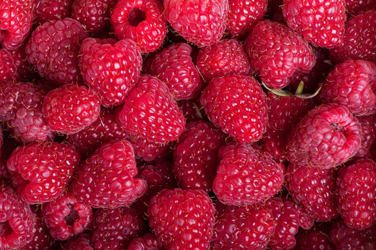 Delicious fresh raspberries