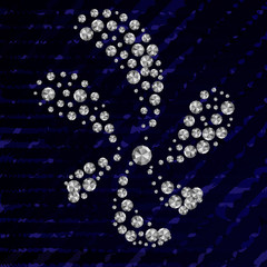 Flower with Rhinestones diamonds on the blue coton texture