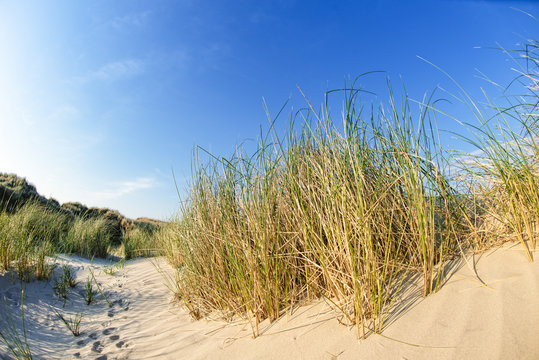 Sommerliche Dünenlandschaft auf norddeutscher Insel mit Sonnenstrahlen