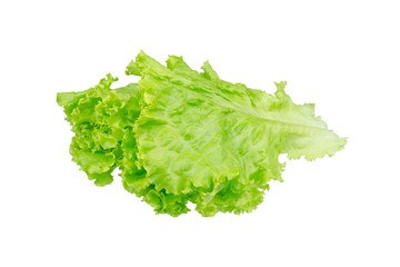 Salad leaf. Lettuce isolated on white background.