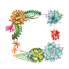 Fototapeta na wymiar Wildflower succulentus flower frame in a watercolor style isolated.