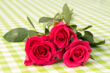 Roses on table with checkered tablecloth