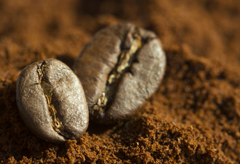 Two coffee beans on ground coffee with white background