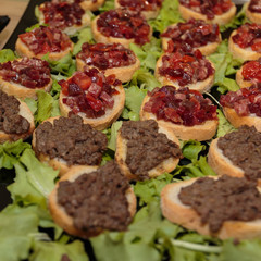 Crunchy Bread Slices with Cooked Minced Meat and Tomato Cubes, Green Salad for Decoration