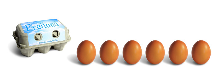 Sechs braune Eier und Eierkarton, Freiland, freistend auf weißem Hintergrund 