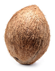 Coconut isolated on white background. Full depth of field.