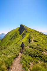 Obraz premium Travelers - father and son with backpacks are climbing along green ridge