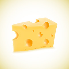 Illustration of organic cheese vector realistic icon