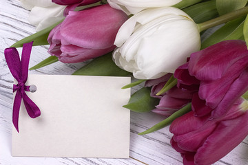 Purple and white tulips with white paper on a white wooden background with card for text. Womans Day. 8 March. Mother's Day.