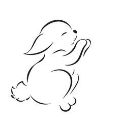 black image little rabbit isolated on white background