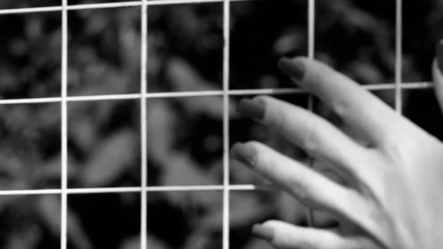 Female palm of hand moving along the surface of the grid, with a blurred background black and white