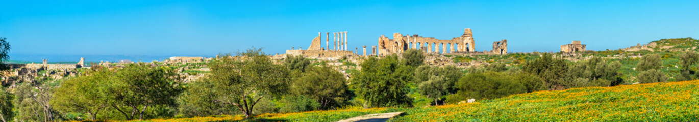 Fototapeta na wymiar Panorama of the antique city of Volubilis, a UNESCO heritage site in Morocco