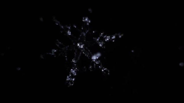 blue snowflake melts in the dark