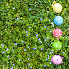colorful Easter egg in the fresh spring meadow