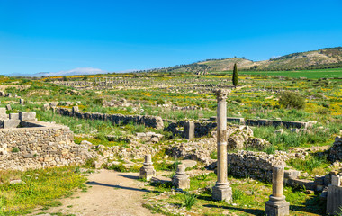 Fototapeta na wymiar Ruins of Volubilis, a Berber and Roman city in Morocco