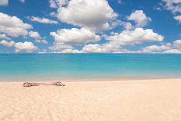 wooden trunk on white beach, clear sea and blue sky