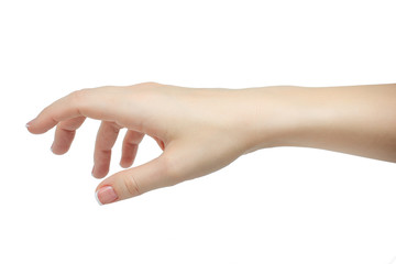 Human hand in picking or giving gesture isolate on white background