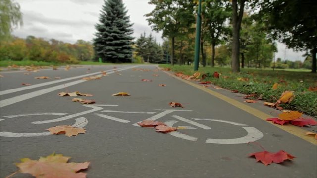 Bicycle sign on the road. Autumn. Close up, horizontal  slider shot