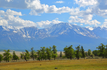Altai mountains landscape
