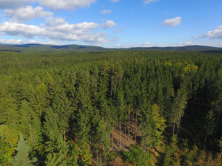 Luftbild Landschaft Wald Sommer
