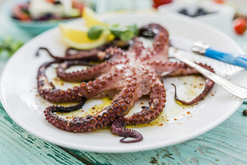 Grilled octopus served on white plate. Mediterranean food.