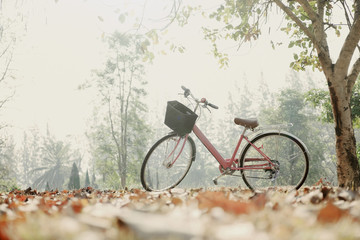 Fototapeta na wymiar Vintage Bicycle with Summer grass field
