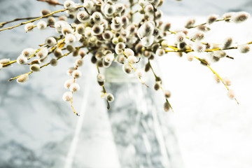 background with a place for an inscription - a bunch of willow twigs in a transparent vase on the marble table
