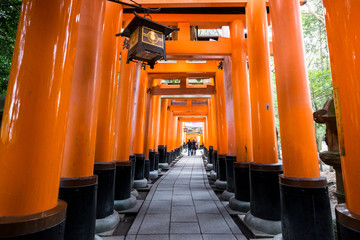 Fushimi Inari Shrine in Kyoto, Japan.It is famous for its thousands of vermilion torii gates.