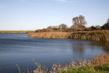 Lake with fringe of reeds: nature reserve Dijkwater, Schouwen-Duiveland, Zeeland, Netherlands