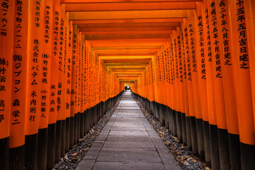 Fushimi Inari Shrine in Kyoto, Japan.It is famous for its thousands of vermilion torii gates.