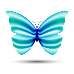 abstract vector butterfly isolated on white background