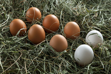 Fresh chicken brown eggs on hay, eco farming background