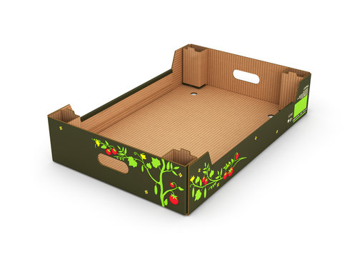 cardboard tray box for vegetables and fruit isolated on white background 3d