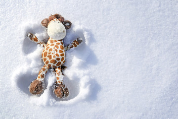 giraffe in the snow