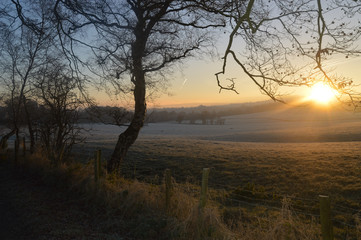 Obraz na płótnie Canvas Sunrise over field