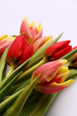 Beautiful bouquet of fresh red and yellow tulips on a white background