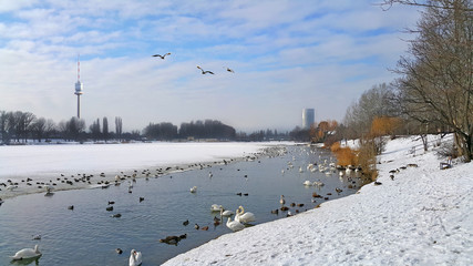 Neuschnee an der AltenDonau in Wien © bettina sampl