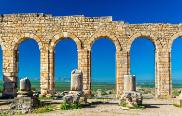 Ruins of a roman basilica at Volubilis, Morocco