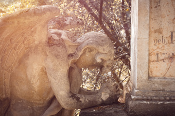Fototapeta na wymiar praying angel statue on cemetery
