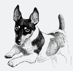 sketch of a jumping dog